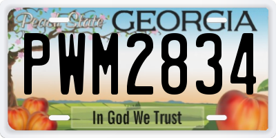 GA license plate PWM2834
