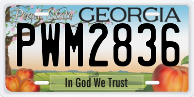 GA license plate PWM2836