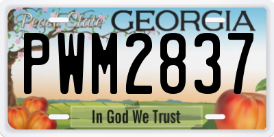 GA license plate PWM2837