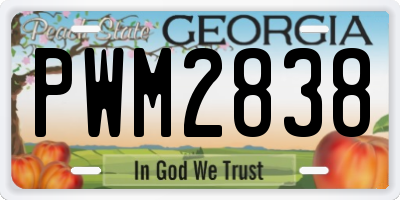 GA license plate PWM2838