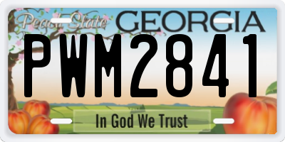 GA license plate PWM2841