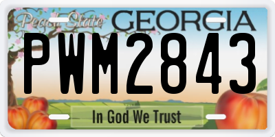 GA license plate PWM2843