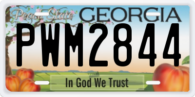 GA license plate PWM2844