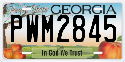 GA license plate PWM2845