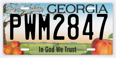 GA license plate PWM2847