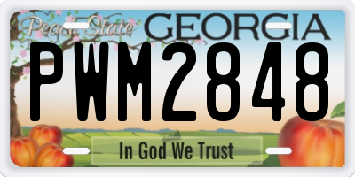 GA license plate PWM2848