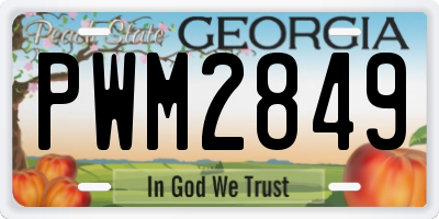 GA license plate PWM2849