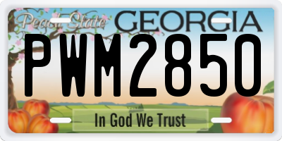 GA license plate PWM2850