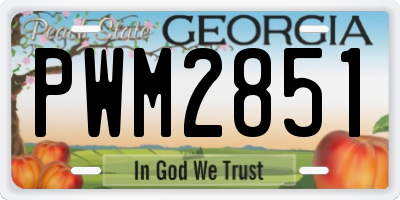 GA license plate PWM2851