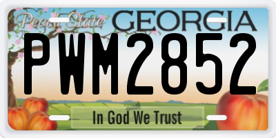 GA license plate PWM2852