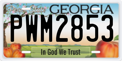 GA license plate PWM2853