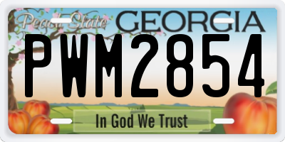 GA license plate PWM2854