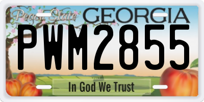 GA license plate PWM2855