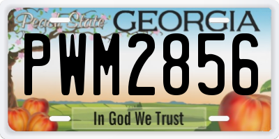 GA license plate PWM2856