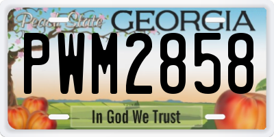 GA license plate PWM2858