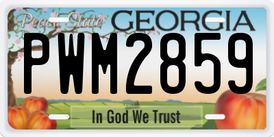 GA license plate PWM2859