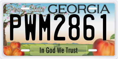 GA license plate PWM2861
