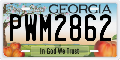 GA license plate PWM2862