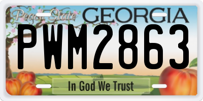 GA license plate PWM2863