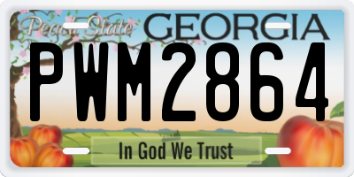 GA license plate PWM2864