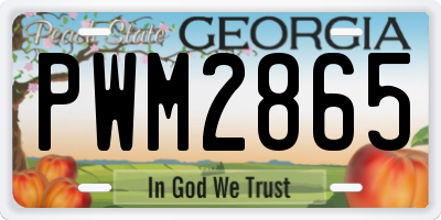 GA license plate PWM2865