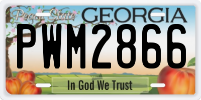 GA license plate PWM2866