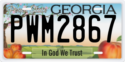 GA license plate PWM2867