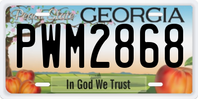 GA license plate PWM2868
