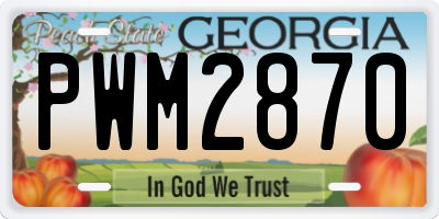 GA license plate PWM2870
