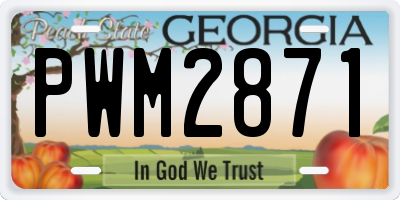 GA license plate PWM2871
