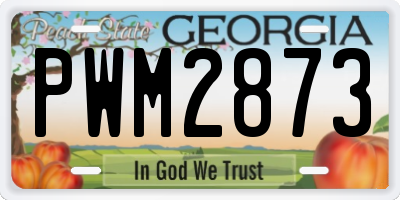 GA license plate PWM2873