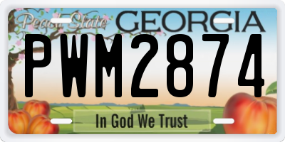 GA license plate PWM2874