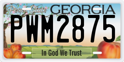 GA license plate PWM2875
