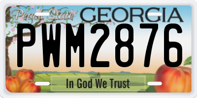 GA license plate PWM2876
