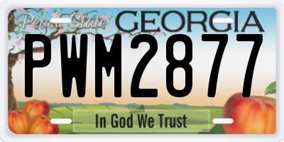 GA license plate PWM2877