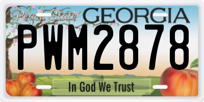 GA license plate PWM2878
