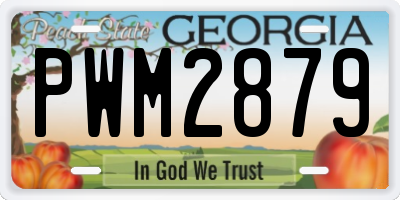 GA license plate PWM2879