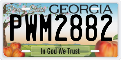 GA license plate PWM2882