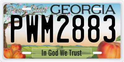 GA license plate PWM2883