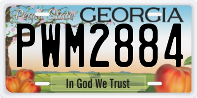 GA license plate PWM2884