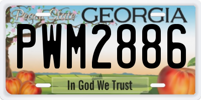 GA license plate PWM2886