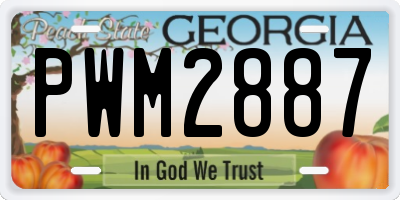 GA license plate PWM2887