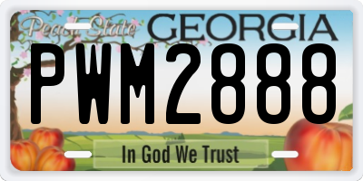 GA license plate PWM2888