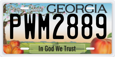 GA license plate PWM2889