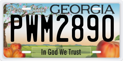 GA license plate PWM2890