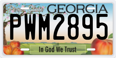 GA license plate PWM2895