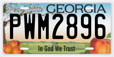GA license plate PWM2896