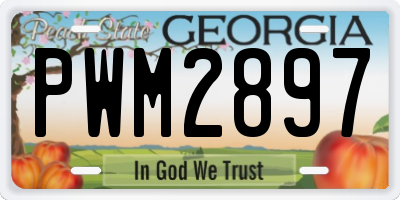GA license plate PWM2897