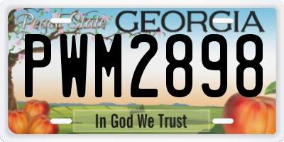 GA license plate PWM2898
