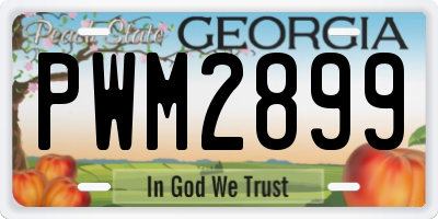 GA license plate PWM2899
